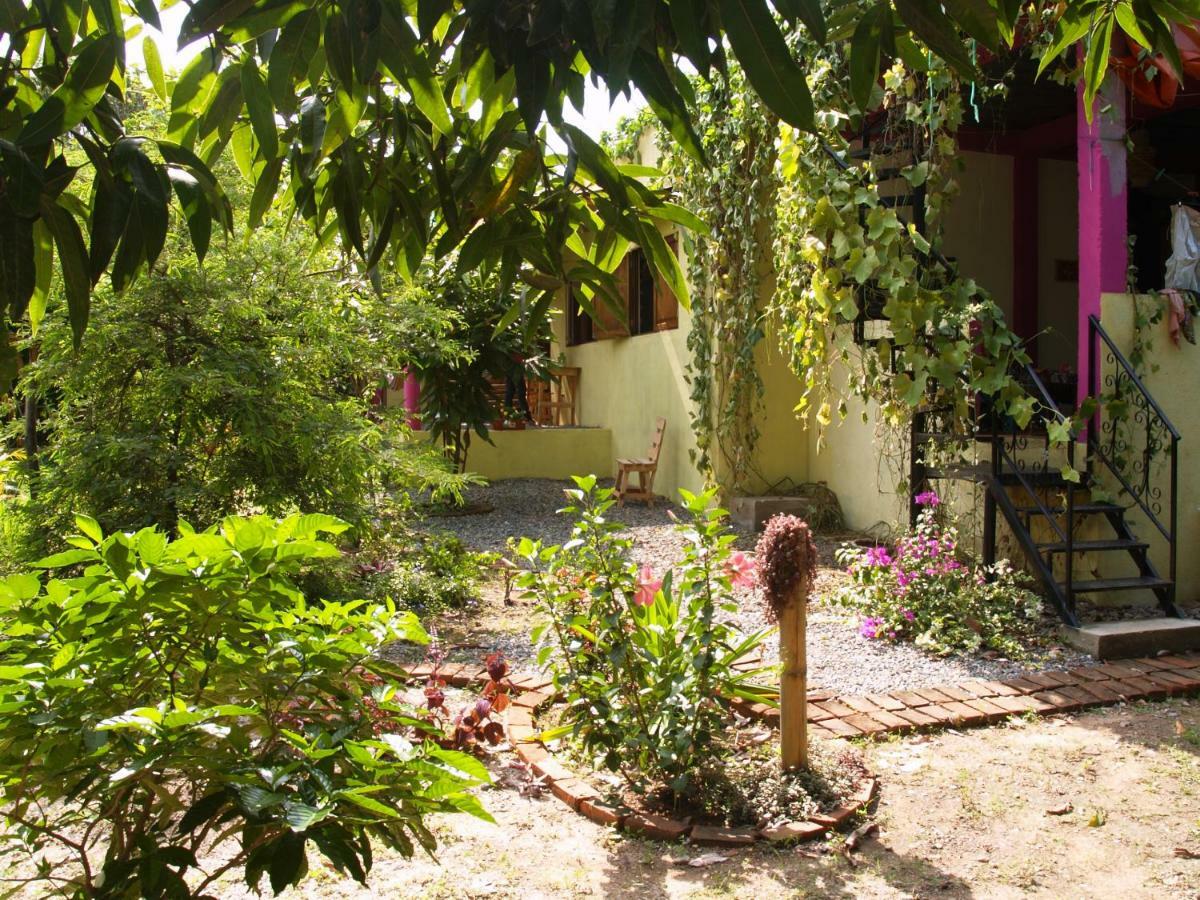 Sistarasta Hotel Palomino Ngoại thất bức ảnh